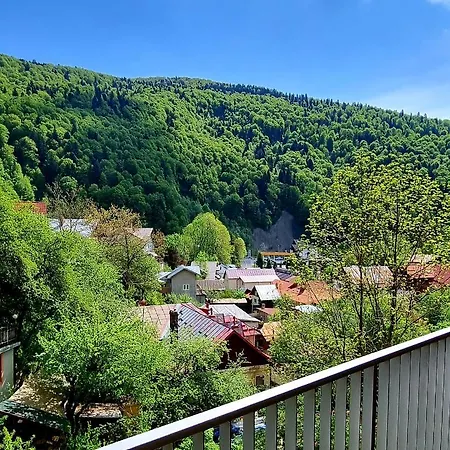 Sara Belleview * Sinaia