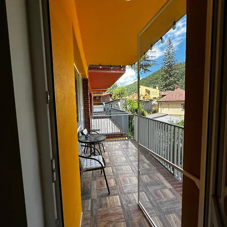Sara Belleview Apartment
